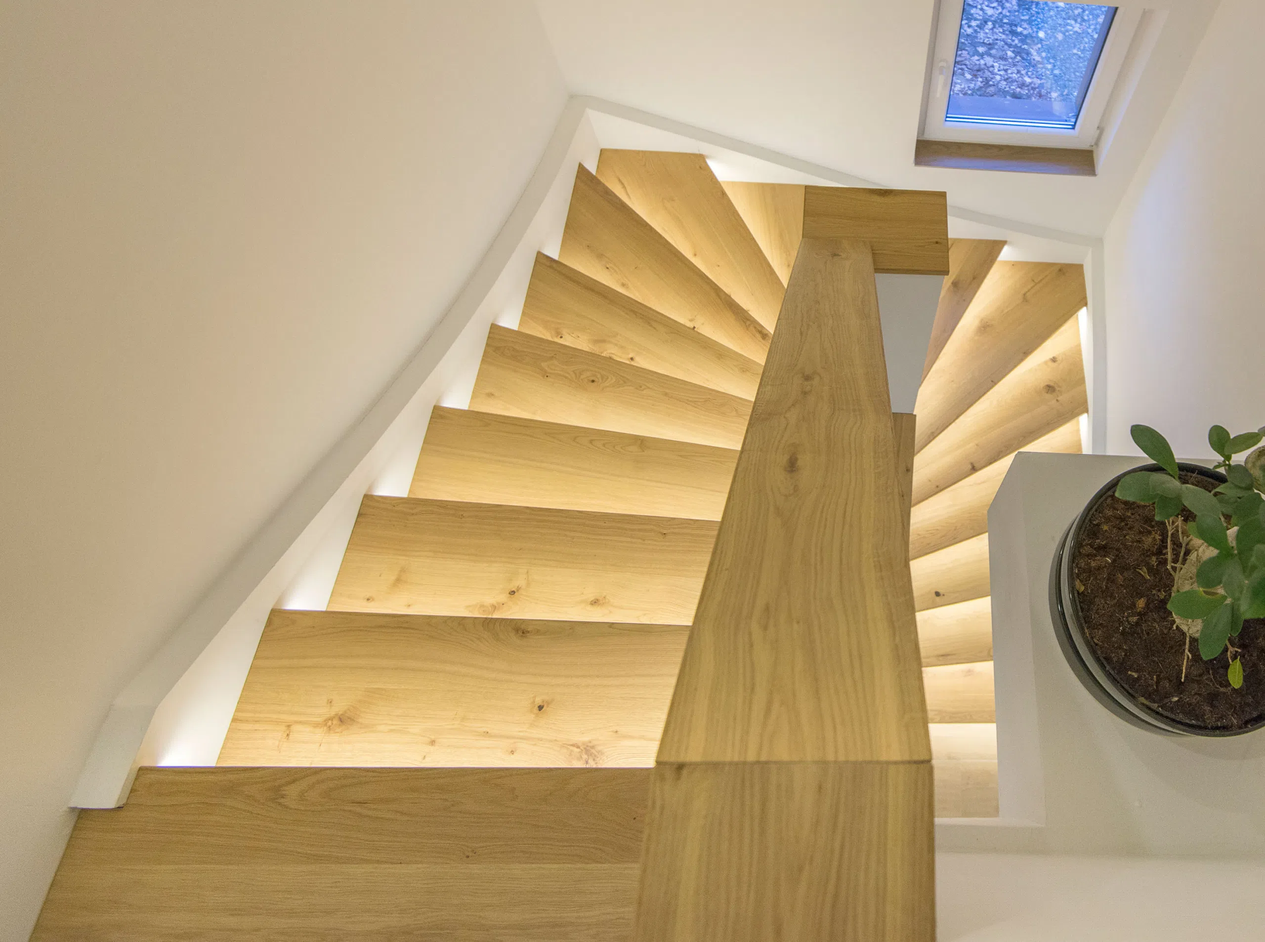 Eine Wendeltreppe in einem Haus mit einer Topfpflanze. Firmenadresse